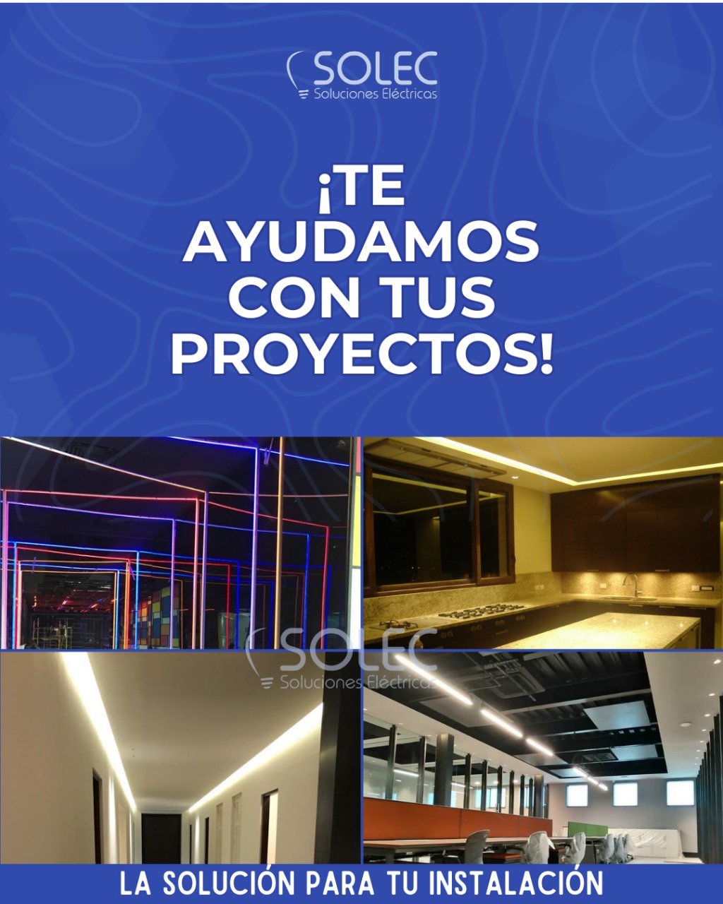 Proyecto 15