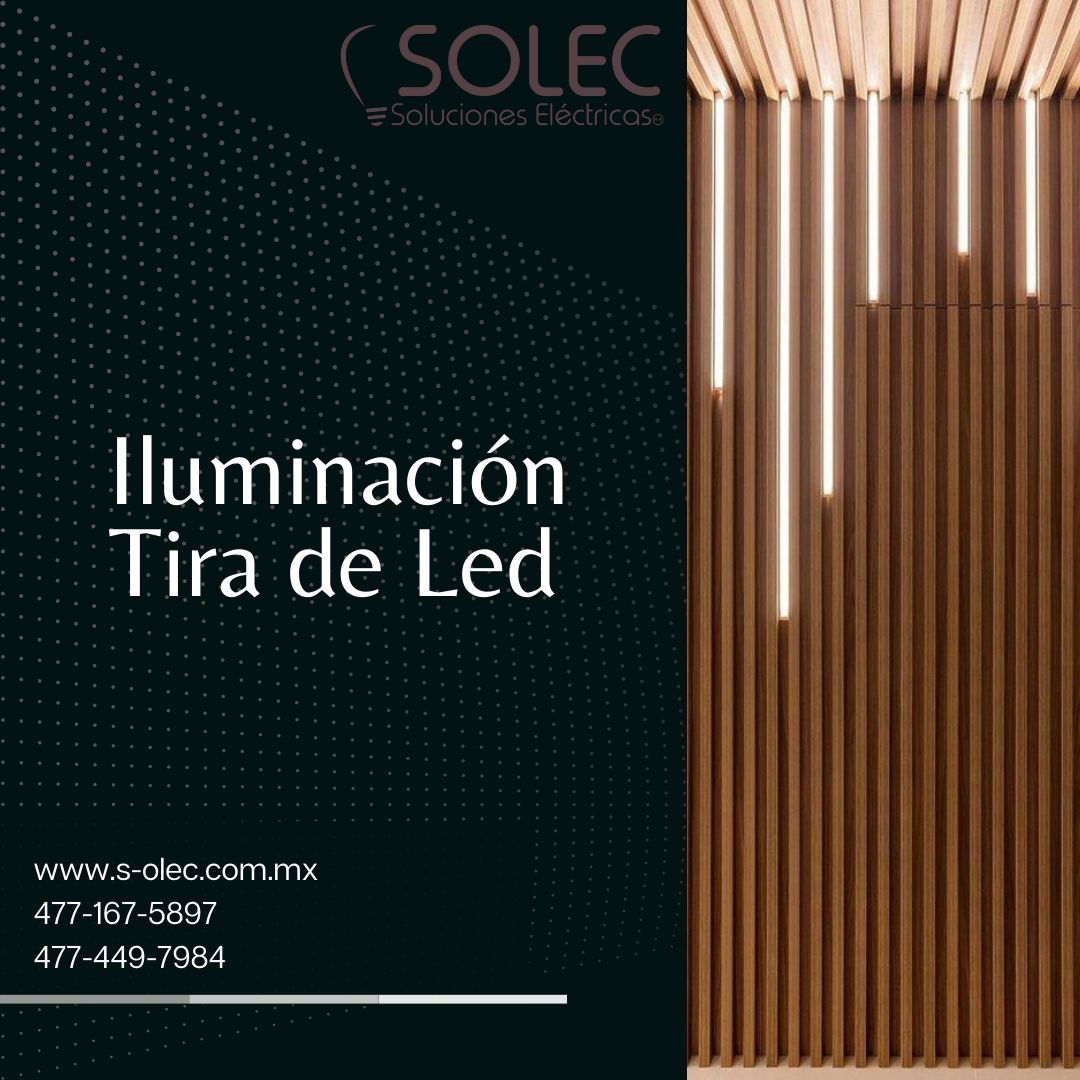 Proyecto 7
